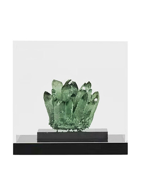 【可开发票】博古架苔藓植物装置