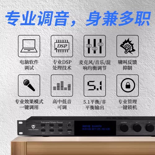 Winner/天逸 AD-208 PRO混响器专业卡拉OK数字防啸叫前级效果器 - 图2