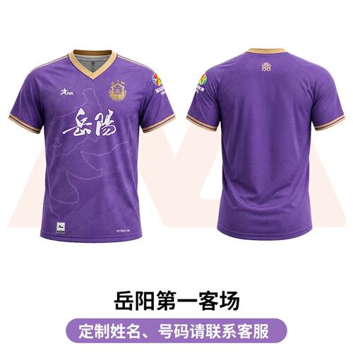湘超岳阳队茵浪2026湖南省足球联赛球迷助威服足球服短袖T恤男女-图0