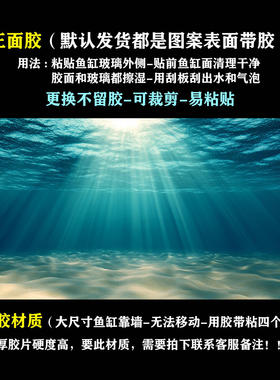 新品鱼缸背景画定制贴纸贴画墙贴海底世界水族箱造景装饰贴膜y67
