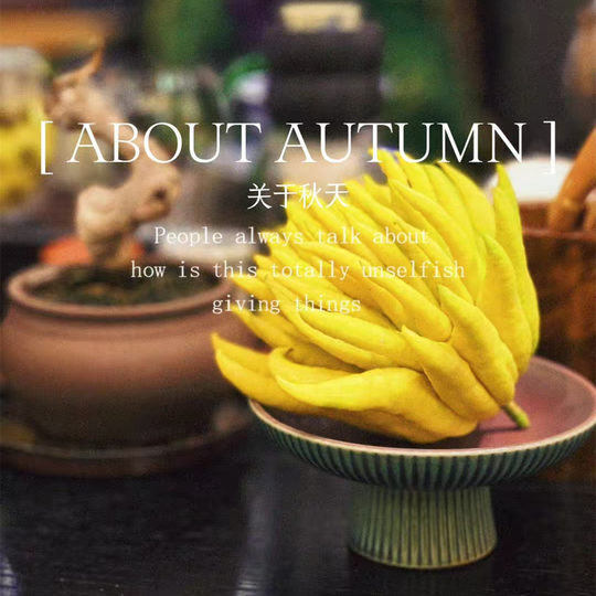 Jinhua bergamot fresh bergamot golden chayote smells fragrant and is presented on the plate ready to be harvested