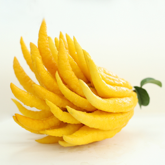 Jinhua Buddha's Hand Yellow Fruit and Green Fruit Fresh Gifts