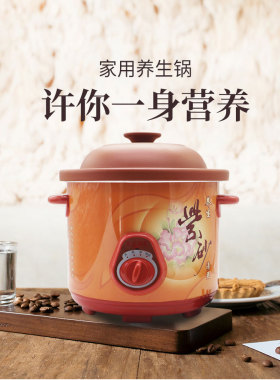 电炖锅煮锅电炖锅家用炖盅汤煲