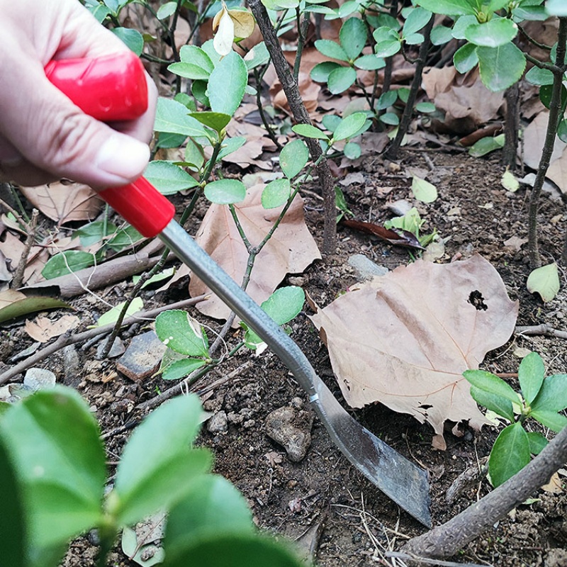 挖蒜铲子挖野菜荠菜加厚锰钢开刃除草挖土户外小铁铲家用园艺种花