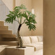 Simulated green plant, fake tree, large dragon scale spring taro potted plant