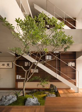 仿真绿植假树酒店别墅天井景观