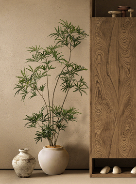 仿真绿植孔雀木室内假树植物摆件