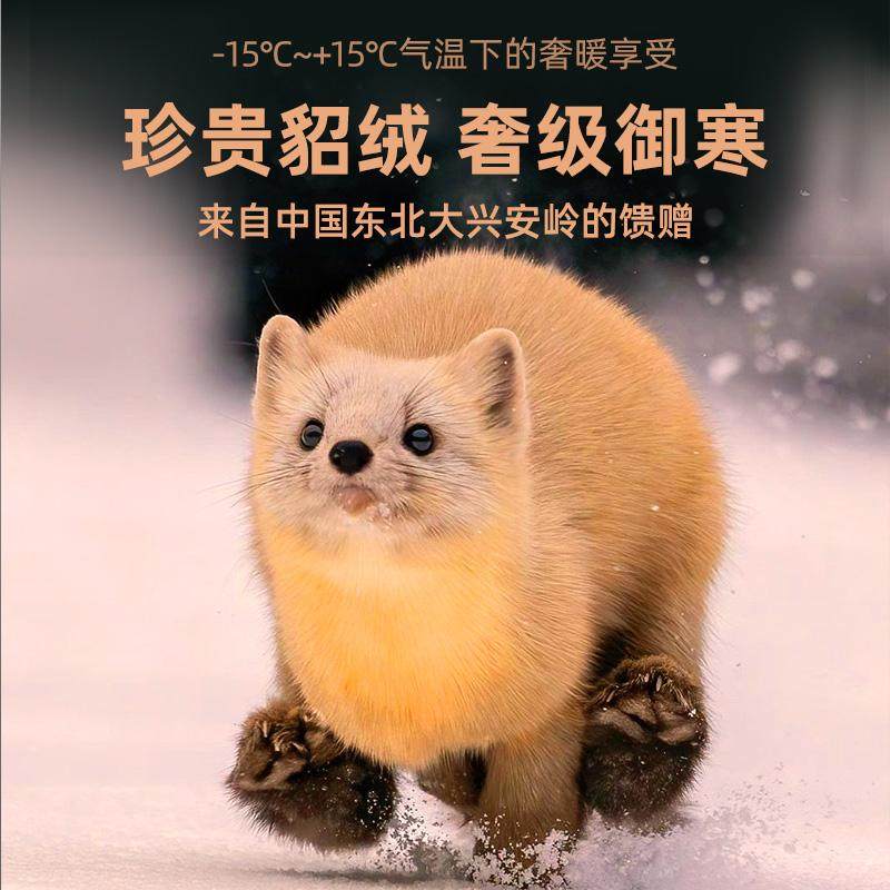 貂绒蚕丝无痕保暖背心男士加厚秋冬季内穿打底衫德绒发热坎肩上衣,淘宝优惠券,粉丝福利购,淘宝优惠卷