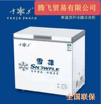 Snowflake Freezers Commercial Frozen Large Capacity Refrigerated Frozen Double Warm Ice Chest Dual-use Small Fridge Freezer Freezer
