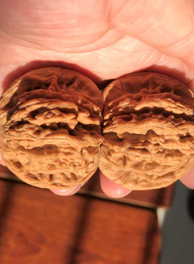 矮桩大肚45mm麻核桃麦穗虎头文玩把件精选老树压手平底狮子头健身