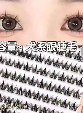 免胶100簇犬系假睫毛懒人小奶狗超软眼睫毛超自然新手假睫毛细梗