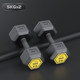Dumbbell men's fitness home equipment 3/35/10kg pair of ladies and teenagers slim belly exercise Xiao Yaling