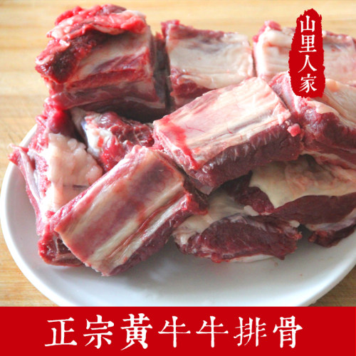 新鲜带肉牛排骨500g/1斤鲁西黄牛肉农家散养牛肋排仔排肋条小排-图0