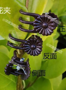 蝴蝶兰支架支撑杆造型架子园艺