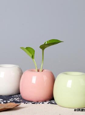 桌面仿真极简艺术透明小花瓶器皿