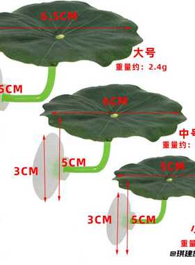 鱼缸造景叶斗鱼床叶睡觉躲避树叶
