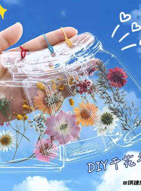 许愿植物DIY书签家庭学生花草
