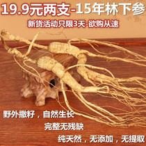 19 9 Yuan Yuan 2 Changbai Mountain Wild Ginseng Lower Ginseng Wild Ginseng Wild Ginseng Bulk Gift box Bubble Wine Saucepan