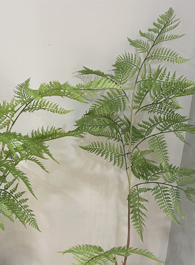 仿真猴头蕨盆栽植物高品质