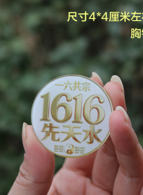 九字真言1616先天水一六共宗道门中人八卦太极胸针玄学