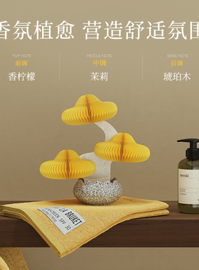 十八纸摆件香氛盆景桌面摆件