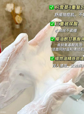 【官方授权】VT洗面奶300ml大支
