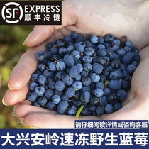 Great Xingan Ridge Quick-Frozen Wild Blueberry Fruits Sea Buckthorn Raspberry Without Added Sugar Cranberry Fruit Shake Tomatoes Tomatoes Blue Meiantherapy