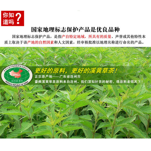豪爽灵芝溪黄草茶野生溪黄草代用茶袋泡茶益肝茶广东凉茶2g*100袋 - 图2