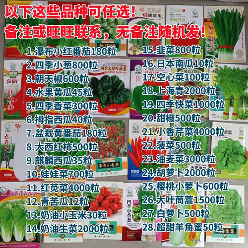 彩图原包装蔬菜种子组合套餐阳台盆栽非转基因四季易种菜籽包邮 - 图0