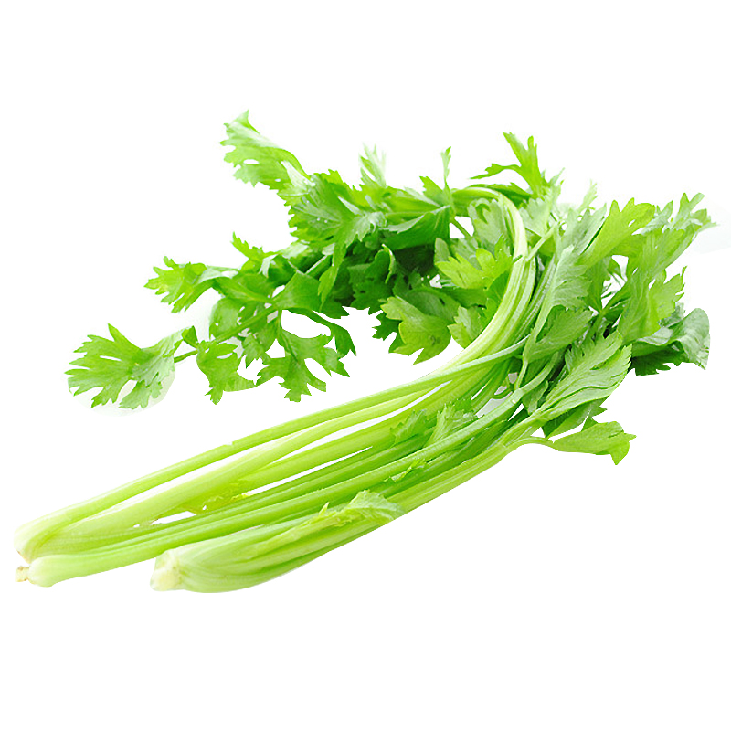 芹菜种子罐装冬季四季播田园山芹白杆香芹菜种籽四季小香芹蔬菜籽_虎窝淘