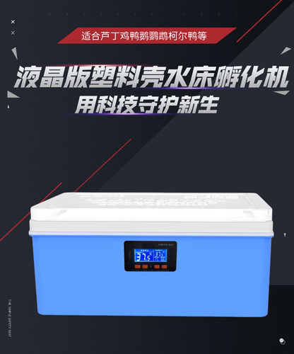 水床孵化机家用型鹦鹉鸟鸡鸭鹅孵化器20枚小型70枚卵蛋箱控温老韩 - 图2