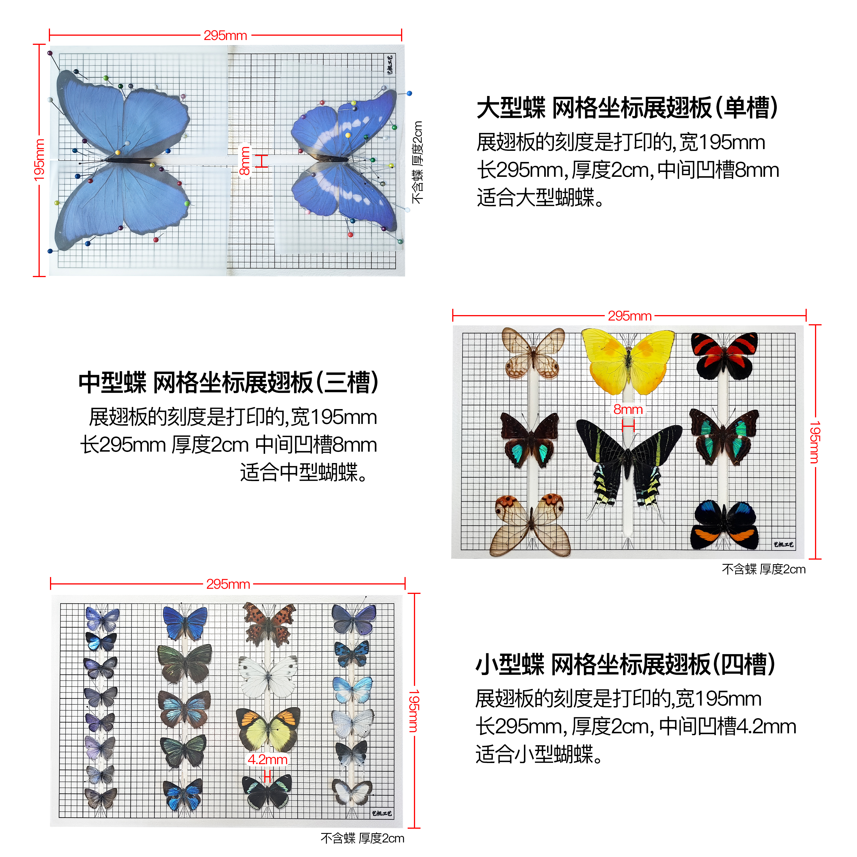 蝴蝶标本展翅板固定昆虫标本插针整姿DIY制作工具材料包学生校园 - 图2