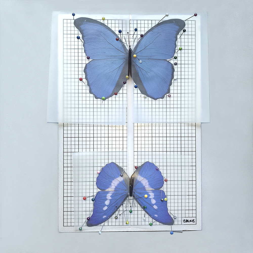 蝴蝶标本展翅板固定昆虫标本插针整姿DIY制作工具材料包学生校园 - 图1