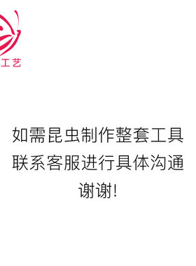 304不锈钢昆虫针蝴蝶标本固定针