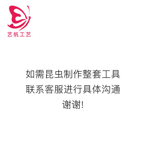 不锈钢DIY标本制作工具昆虫针定位针固定针展翅针蝴蝶蝉甲虫飞蛾 - 图1