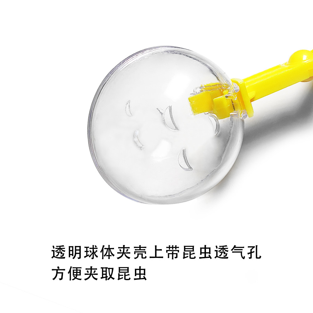 昆虫夹捕虫夹器活体昆虫蟋蟀亚面包虫大麦虫镊子鬃狮守宫夹便器材 - 图2