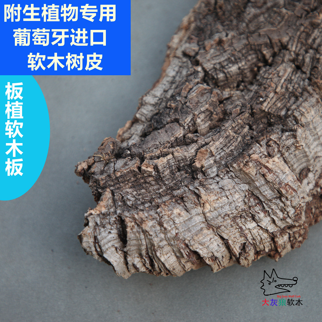 天然葡萄牙进口树皮植板附生植物专用真树皮兰花种植鹿角蕨空凤,淘宝优惠券,粉丝福利购,淘宝优惠卷