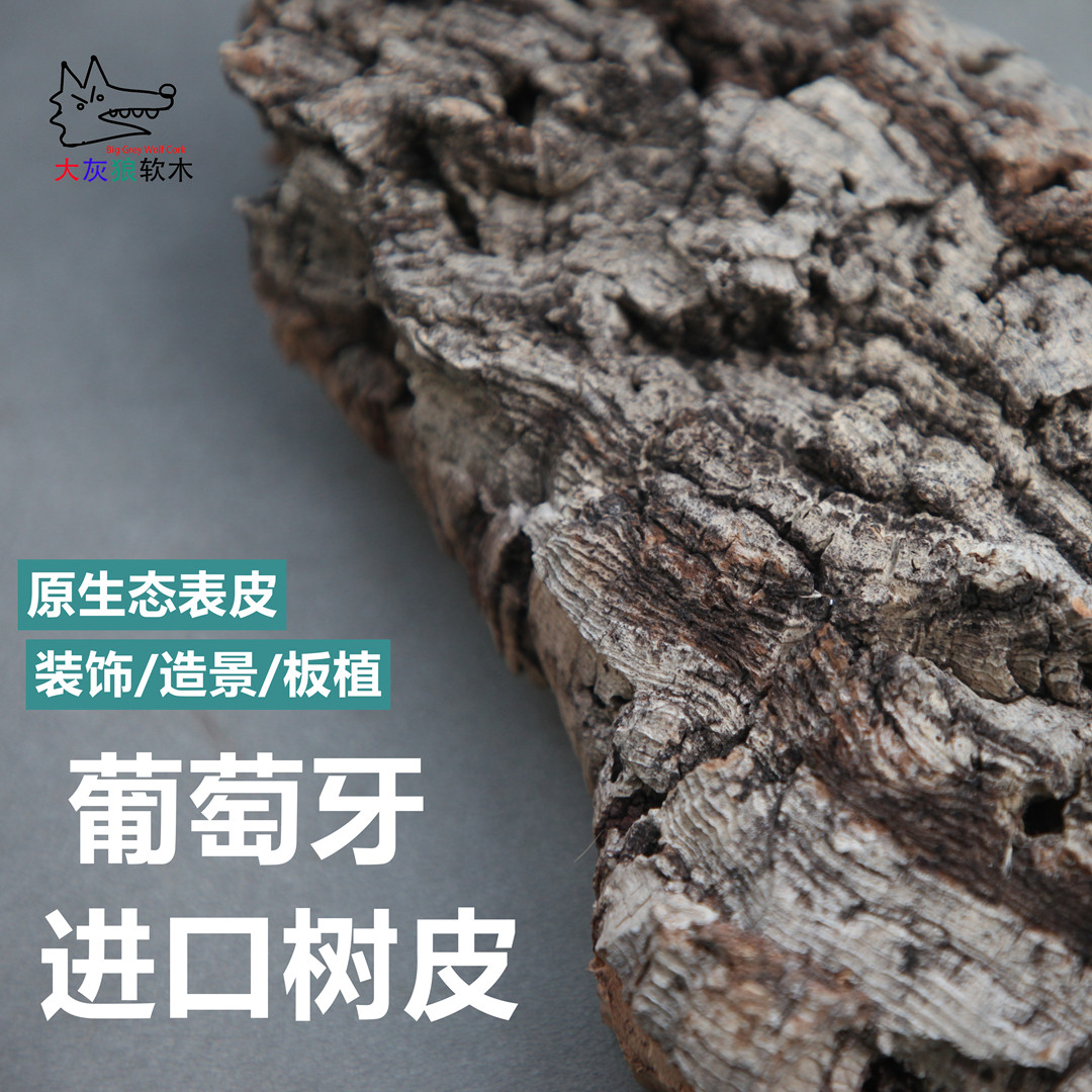 天然葡萄牙进口树皮植板附生植物专用真树皮兰花种植鹿角蕨空凤,淘宝优惠券,粉丝福利购,淘宝优惠卷