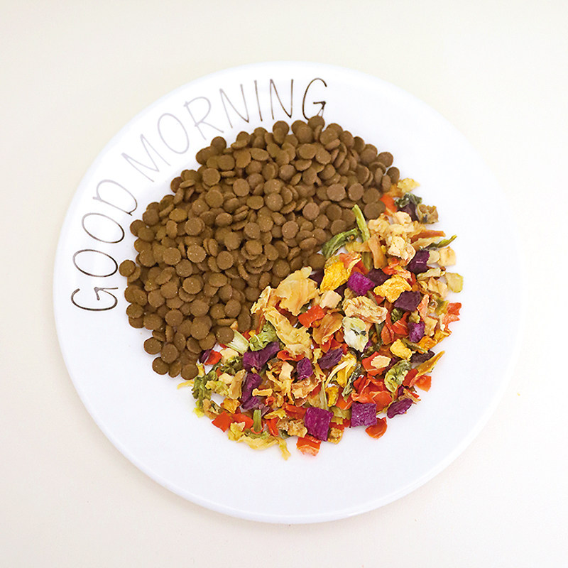 狗狗冻干零食仓鼠蔬菜干磨牙狗粮伴侣兔子拌粮幼犬宠物烘干果蔬,淘宝优惠券,粉丝福利购,淘宝优惠卷