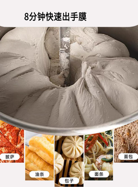 和面机商用双动双速全自动