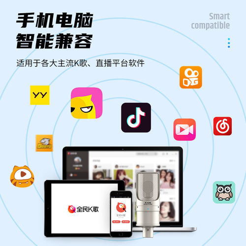 Takstar得胜PC-K200电容麦克风手机电脑直播K歌声卡套装录音话筒 - 图1