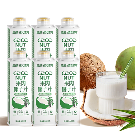 南国食品海南特产果肉椰子汁600ml*6瓶鲜榨饮料结婚宴请聚会果汁