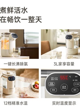 德国ZEMKON新款桌面饮水机小型家用恒温壶直饮机即热式台式热水机