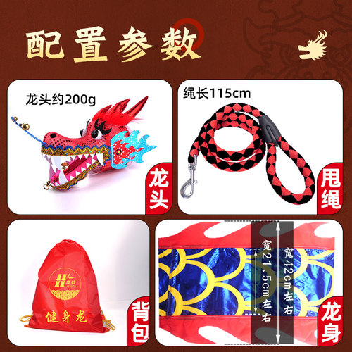 广场健身烫金舞龙甩龙舞龙彩带甩彩龙初学儿童彩条立体龙头节目 - 图1