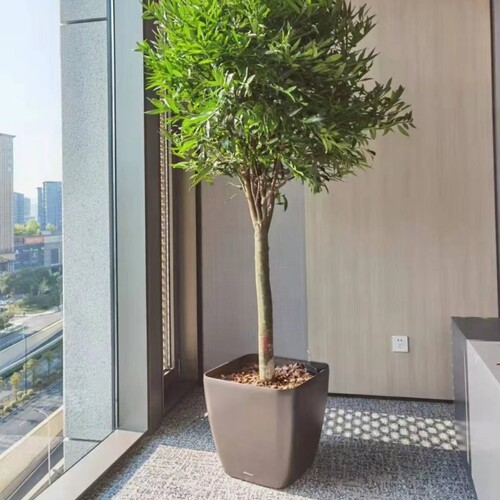 室内超大绿植盆种树盆方形懒人自动浇灌落地简约塑料花盆大号带轮 - 图1