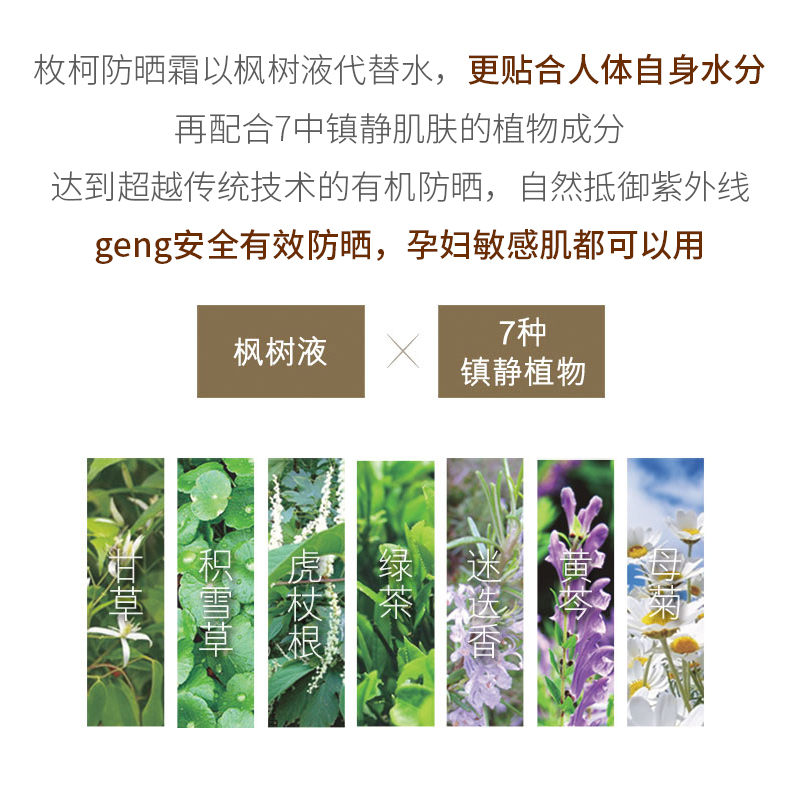 枚柯枫润树荫隔离防晒霜 SPF50 清爽保湿轻薄不黏腻 韩国 MAYCOOP 50g 枚柯枫润树荫隔离防晒霜 SPF50 清爽保湿轻薄不黏腻 韩国 MAYCOOP 50g