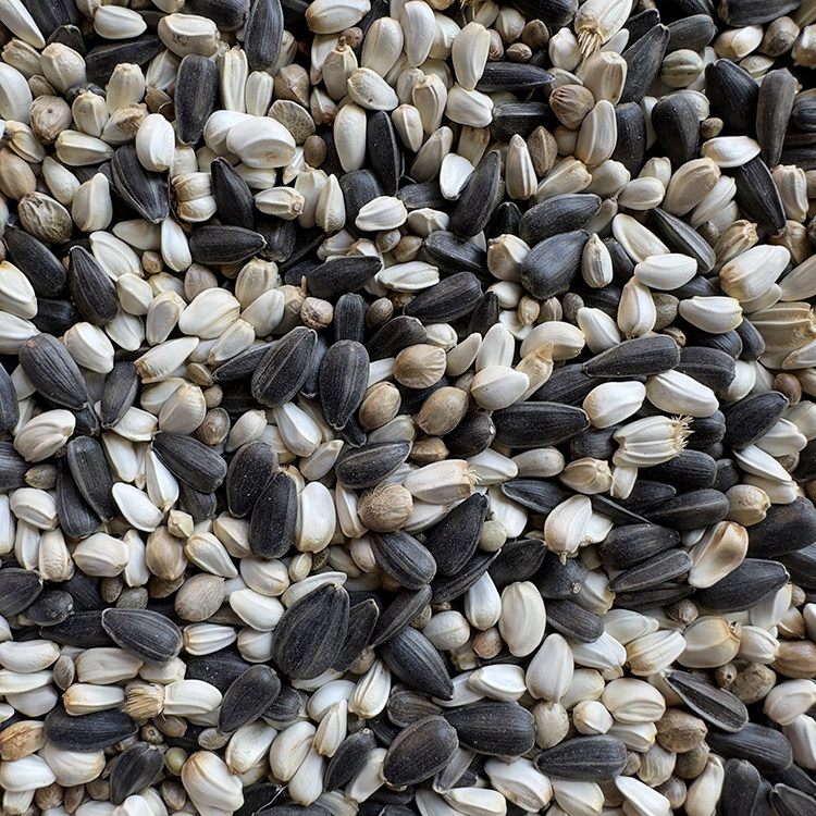 油葵黑瓜子 红花籽 麻子 油料混合三合一 玄凤鹦鹉中大型鸟粮鸟食,淘宝优惠券,粉丝福利购,淘宝优惠卷