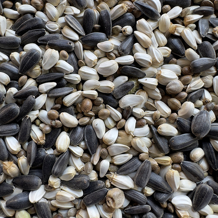 油葵黑瓜子 红花籽 麻子 油料混合三合一 玄凤鹦鹉中大型鸟粮鸟食,淘宝优惠券,粉丝福利购,淘宝优惠卷