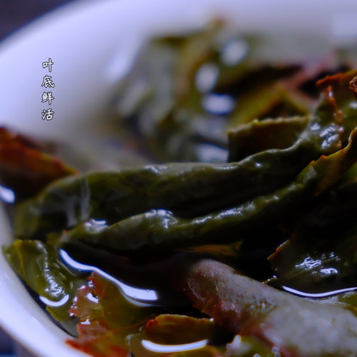台湾阿里山高山茶 正宗特级奶香金萱乌龙茶清香型 买1送1共300g - 图1