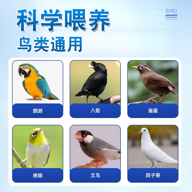 鹦鹉益生菌鸟用玄凤八哥鸟类积食拉稀水绿便腹泻肠胃助消化增免疫,淘宝优惠券,粉丝福利购,淘宝优惠卷